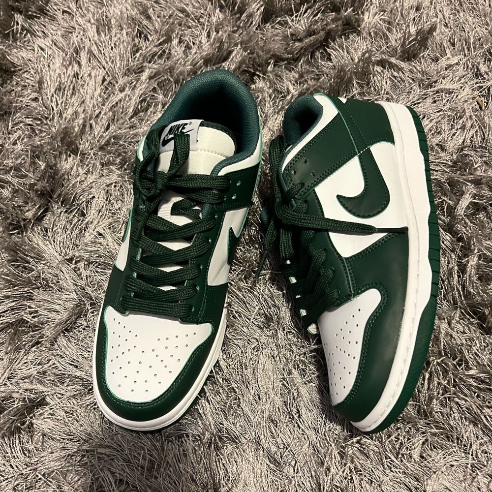 michigan state dunks